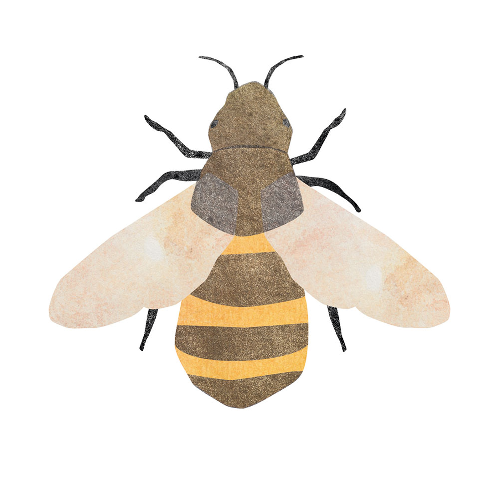 Illustration einer Biene