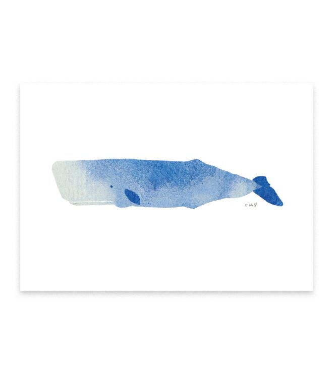 Illustration eines blauen Pottwals
