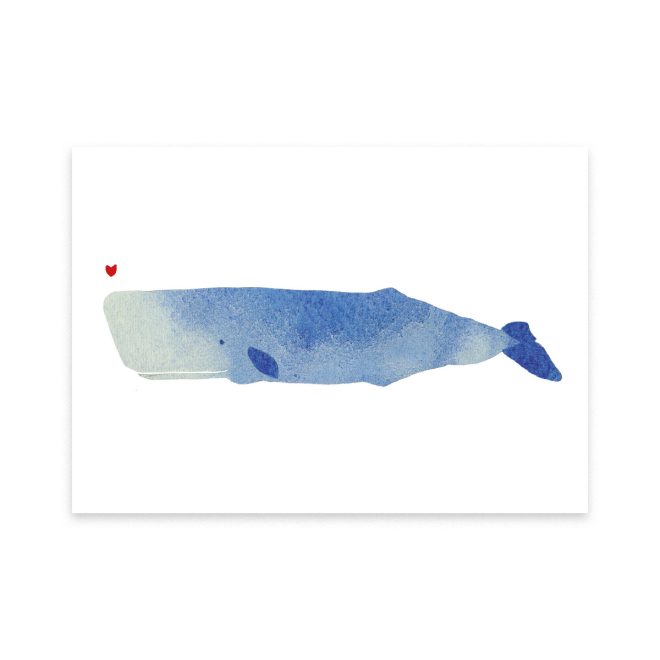 Illustration eines Pottwals in blau