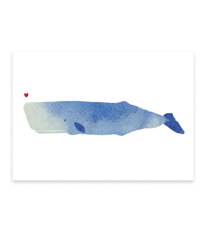 Illustration eines Pottwals in blau
