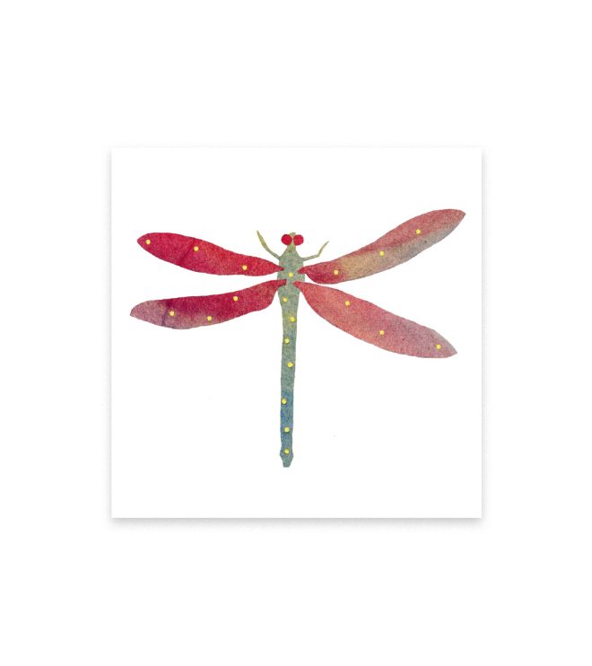 Illustration einer Libelle mit roten Flügeln