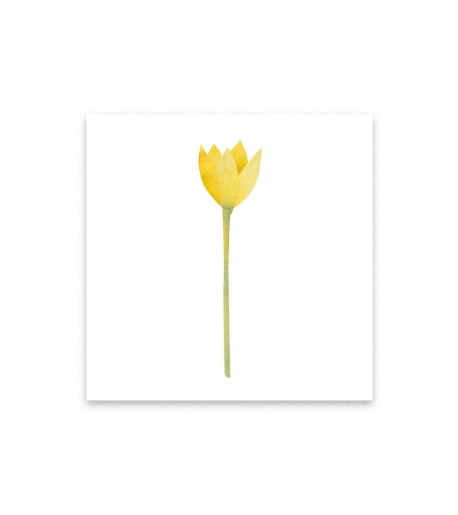 Bild einer goldenen Blume
